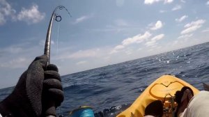 Лучшая рыбалка в Атлантическом океане! Где найти Махи? Маленькая лодка, большая рыба!