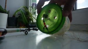 Снасть БАНКА НА ЛЕЩА устройство