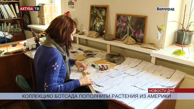 Ботаники привезли американские растения для озеленения региона смотреть онлайн