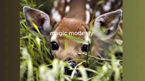 магическая скромность/sub#саблиминал