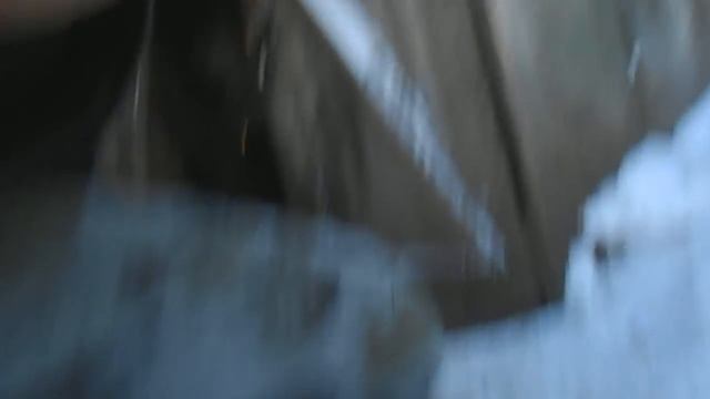 Как отличить гусака от гусыни. смотреть онлайн