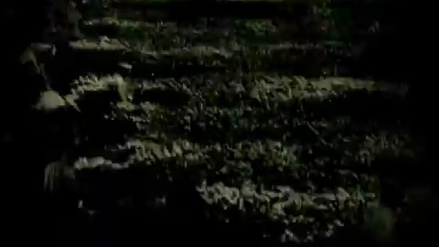 Молочай - Точить косу