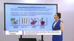 Биология. 7 класс. Вегетативное размножение растений, его виды и биологическое значение в природе