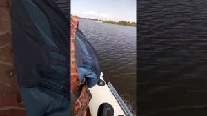 Ямаха 8 эндуро скорость 29-30км/ч с двумя кабанами