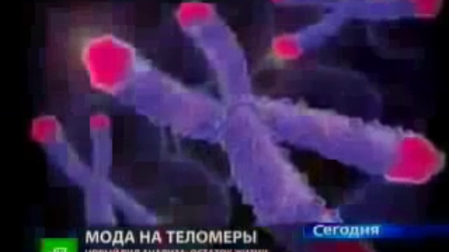 Возраст и здоровье смотреть онлайн