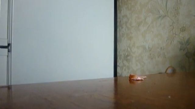 Хитрый кот Макс смотреть онлайн