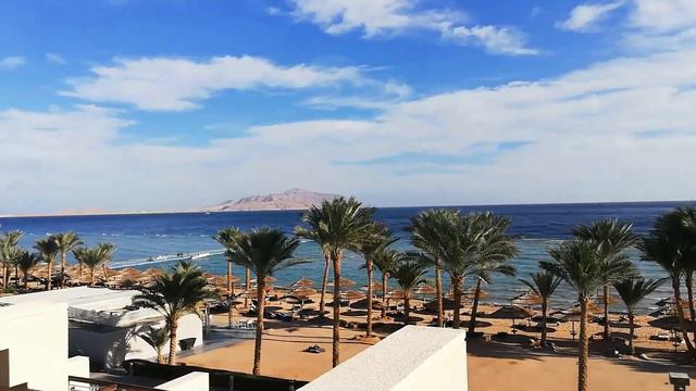 Египет, Coral Sea Sensatory5*, Sharm-ash-Sheikh , 5.12.2021 смотреть онлайн