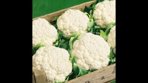 Обзор сорта цветной капусты "Гарантия" (характеристики, свойства, фото)