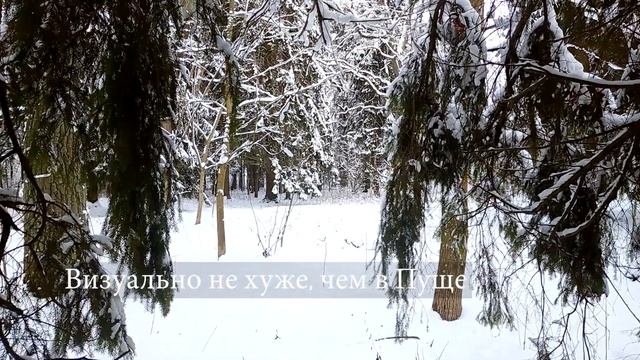 Небольшая прогулка по "Щомыслицкой" Дубраве около Минска смотреть онлайн