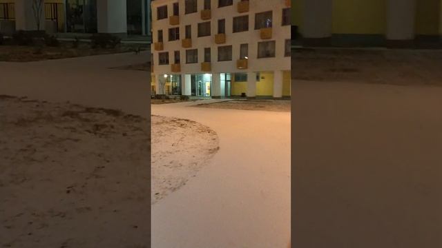 С первым снегом! А, так то, только домой? #всемдобра #моясобака #люблюсвоюсобаку #первыйснег смотреть онлайн