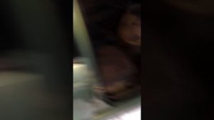 Не переключается рычаг коробки АКПП.