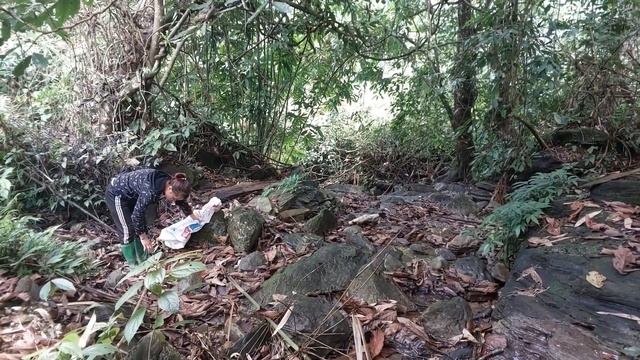 Build stone stairs to travel on the farm - Green forest life, farm life смотреть онлайн