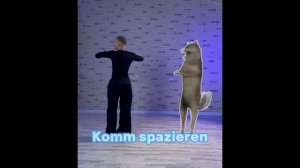 Ich will nicht / ихвильнихт