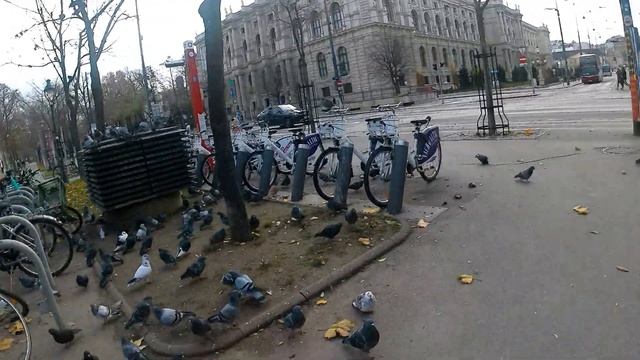 10 часов в Вене смотреть онлайн