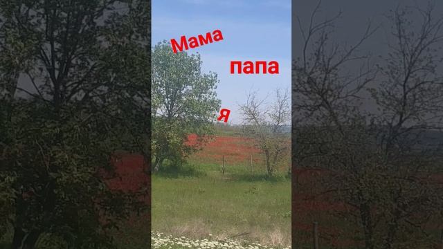 мама из Таиланда,папа из анапы ,а я из Южной корее?????? смотреть онлайн