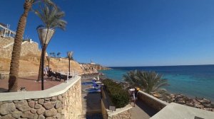 ЕГИПЕТ 2020🔴 REEF OASIS BEACH RESORT 5*🔴Египет Зимой🔴 🏖 Sentido. Ресторан на пляже
