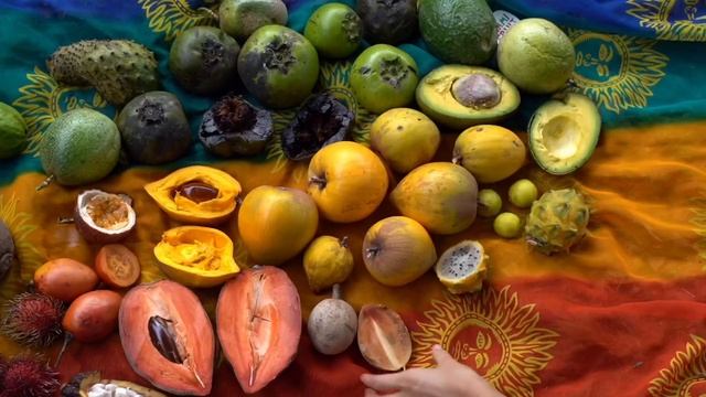 Sapodilla Ripening guide + how to eat смотреть онлайн