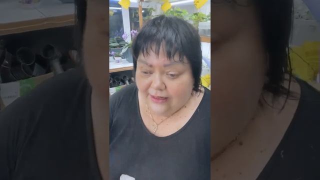 Разбудить гортензию после зимовки