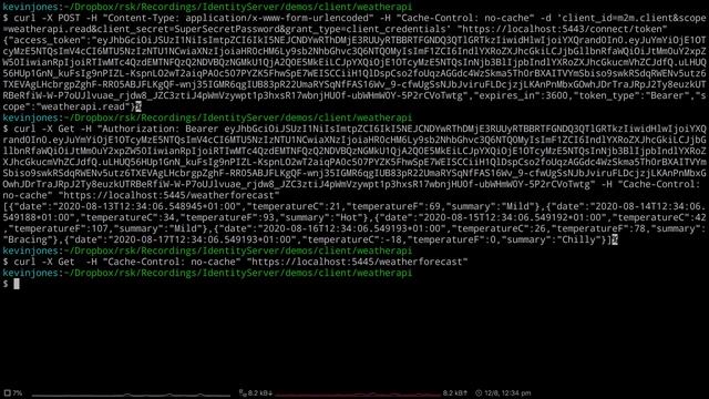 Creating your First IdentityServer4 Solution смотреть онлайн