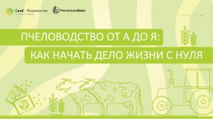 Пчеловодство от А до Я – как начать дело жизни с нуля