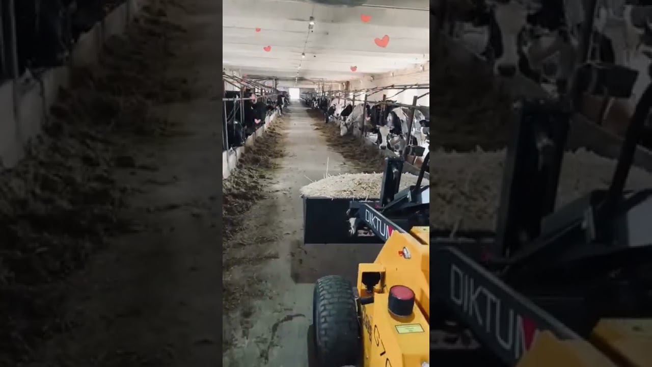 DIKTUM сельхоз применение смотреть онлайн