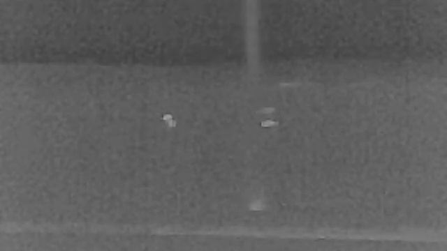 Guide TD210, три косули на 100 метров смотреть онлайн