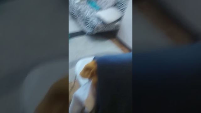 Моя сестра меня закрыла