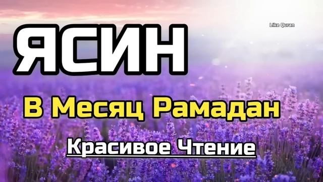 Сура Ясин в Месяц Рамадан Слушаем смотреть онлайн