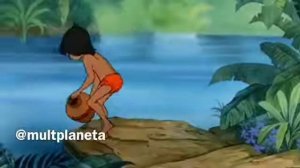 мультик маугли