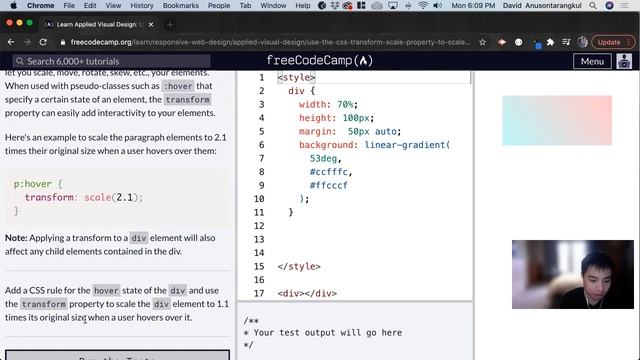 Use the CSS Transform scale Property to Scale an Element on Hover (Applied Visual Design) смотреть онлайн