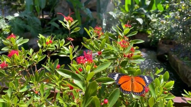 Нежная музыка для медитации 15 минут. смотреть онлайн