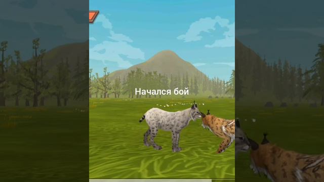 Сериал"Каракал среди обычных рысей" 3 серия"Нападение" WildCraft смотреть онлайн