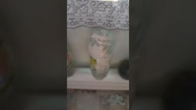 Пикировка баклажан... покупки... смотреть онлайн