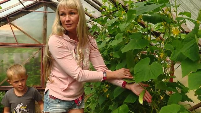 Сюжет Садовод с большой буквы смотреть онлайн