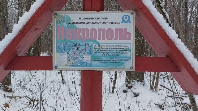 Беларуси северо-восток в 2022 году так живёт смотреть онлайн
