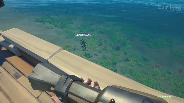 The Chicken Russian Pirates - Sea of Thieves Funny Moments смотреть онлайн