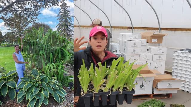 New Plants Arrive! The 2023 Season Has Begun | Gardening with Creekside смотреть онлайн