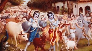 Кто такие кришнаиты и почему они всегда счастливы?