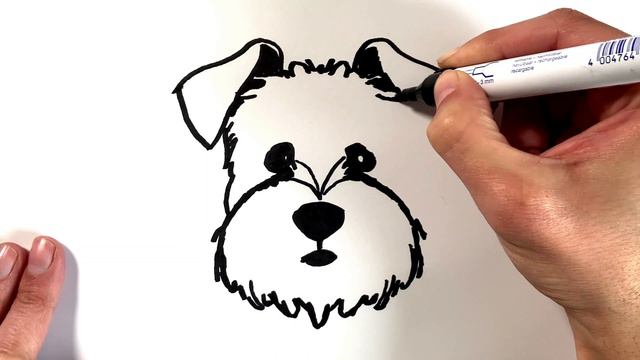 How to Draw a Miniature Schnauzer Dog смотреть онлайн