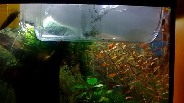 Строительные Рецепты