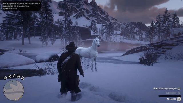 Red Dead Redemption 2 Как найти и оседлать Пегаса! смотреть онлайн