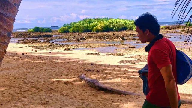 Cloud 9 Palm Tree, Siargao смотреть онлайн