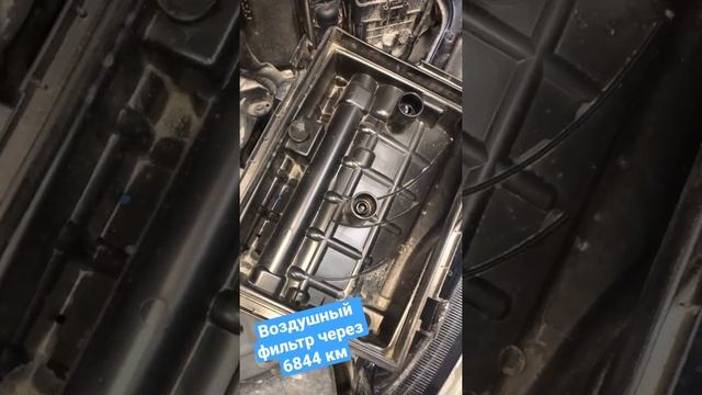 Воздушный фильтр Шкода Октавия А8 1,4 через 6844 км в Сибири смотреть онлайн