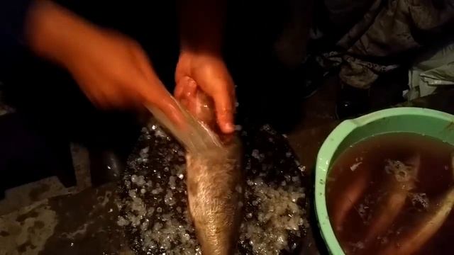 Як правильно чистити окуня смотреть онлайн