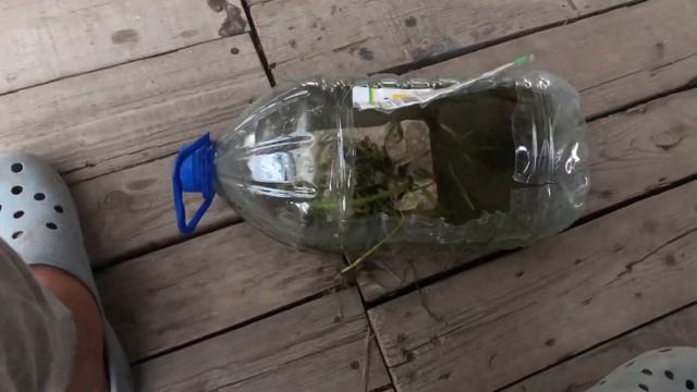 КАК СДЕЛАТЬ ТЕРРАРИУМ ДЛЯ ЧЕРЕПАХ(ИЛИ КАК УХАЖИВАТЬ ЗА НИМИ) ? смотреть онлайн