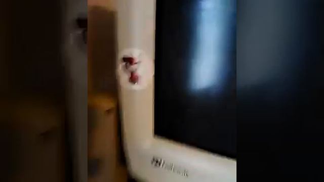 my new computer set up!!!!!!111111 смотреть онлайн