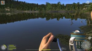 Русская рыбалка 4 - Старое озеро Комариное - Щука в окуневой заводи