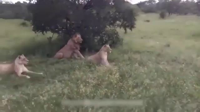 Когда хотел напугать друзей, а напугал сам себя? смотреть онлайн