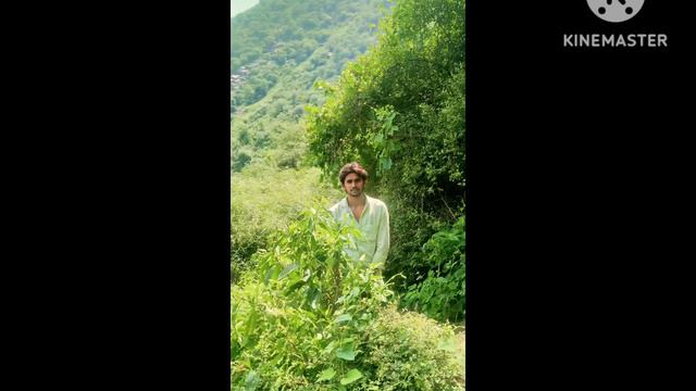 #New #mewati #song #mubeen #singer serial number 001227 No #Copyrightclaim смотреть онлайн