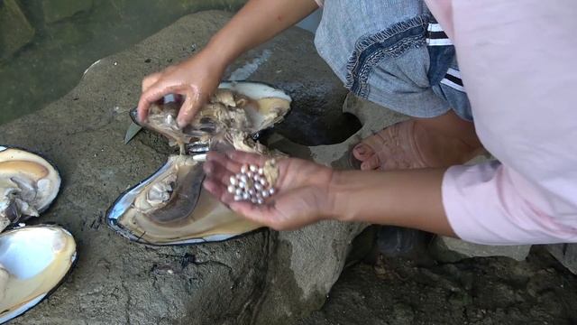 Pearl hunter / treasure hunting pool surrounded by stones, amazing number of golden pearls смотреть онлайн
